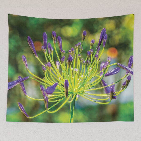 Item preview, Agapanthus designed and sold by Kay Brewer.