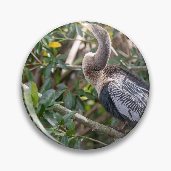 Item preview, Anhinga Bird Perched in Palm Island Park, Mount Dora, Florida designed and sold by jrtwynam.