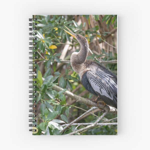 Item preview, Anhinga Bird Perched in Palm Island Park, Mount Dora, Florida designed and sold by jrtwynam.