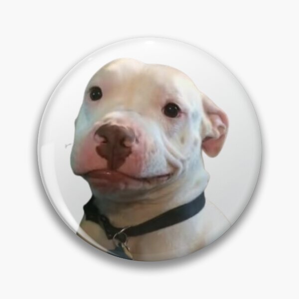 Item preview, Awkward Smile Pitty from Tiktok designed and sold by Sara-tonin.