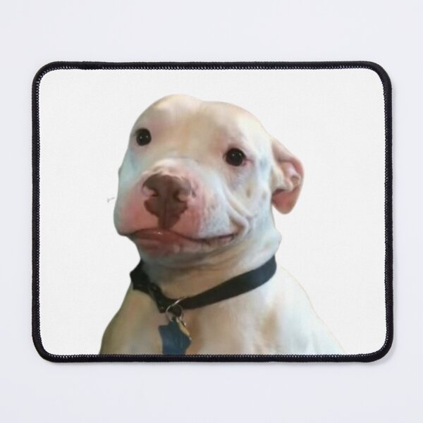 Item preview, Awkward Smile Pitty from Tiktok designed and sold by Sara-tonin.