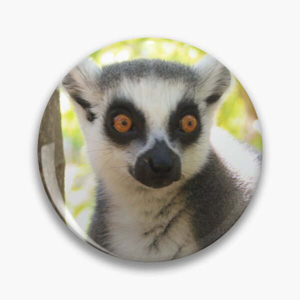 Item preview, ringed tail Lemur designed and sold by danielasynner.