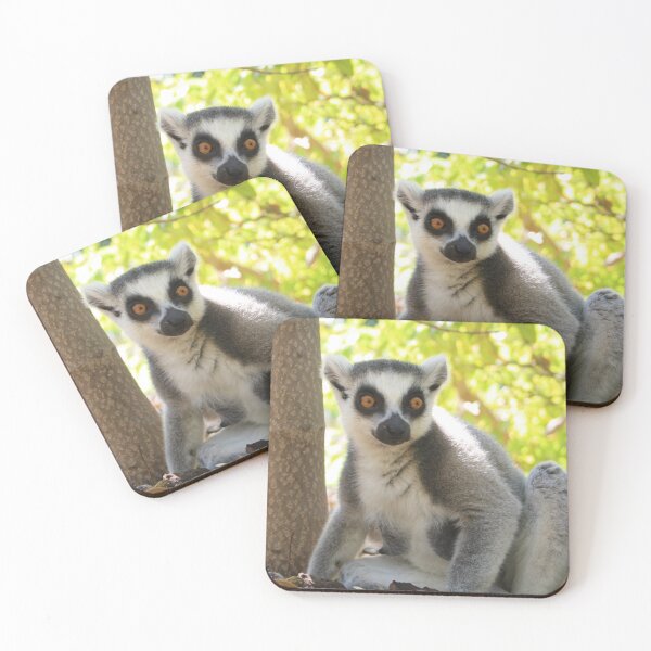 Item preview, ringed tail Lemur designed and sold by danielasynner.