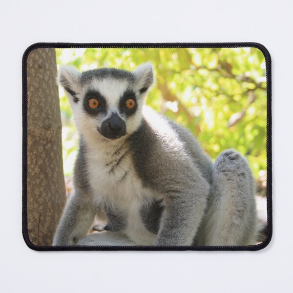 Item preview, ringed tail Lemur designed and sold by danielasynner.