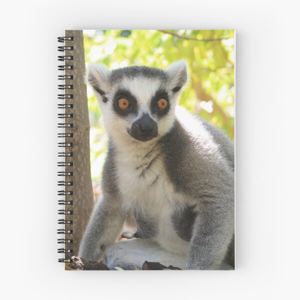 Item preview, ringed tail Lemur designed and sold by danielasynner.