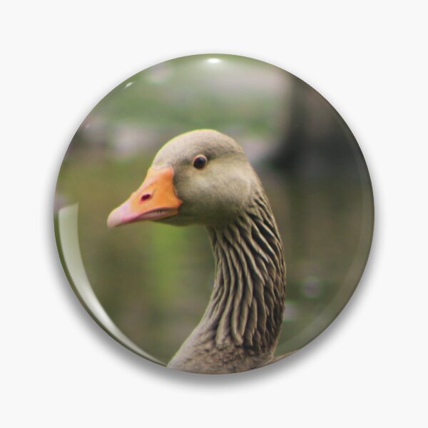 Item preview, Wild bird in a park designed and sold by danielasynner.