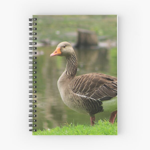Item preview, Wild bird in a park designed and sold by danielasynner.