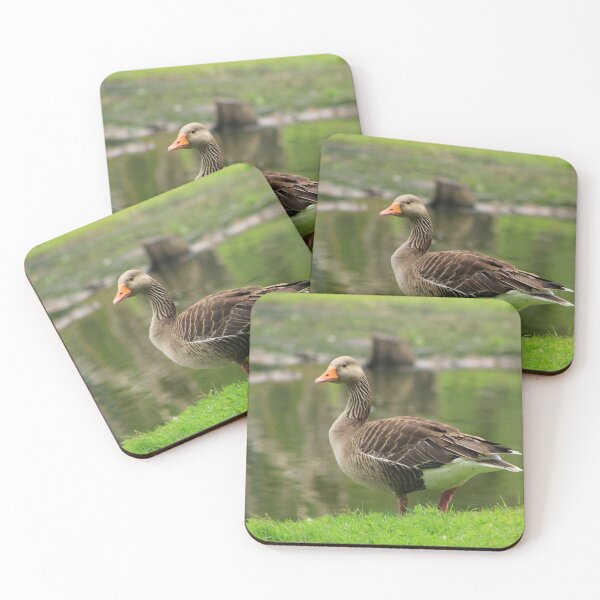Item preview, Wild bird in a park designed and sold by danielasynner.