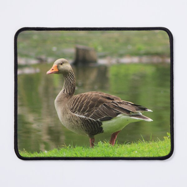 Item preview, Wild bird in a park designed and sold by danielasynner.