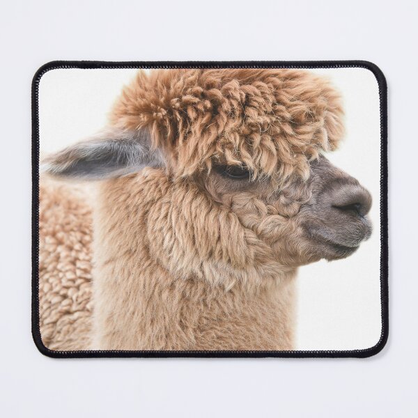 Item preview, Alpaca #1 designed and sold by Debra Cox.
