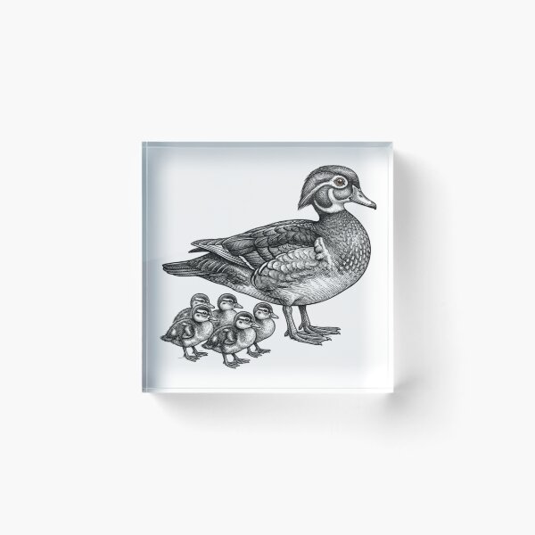 Item preview, Duck with ducklings - Realistic Minimalistic Black and White designed and sold by Minimalisticaly.