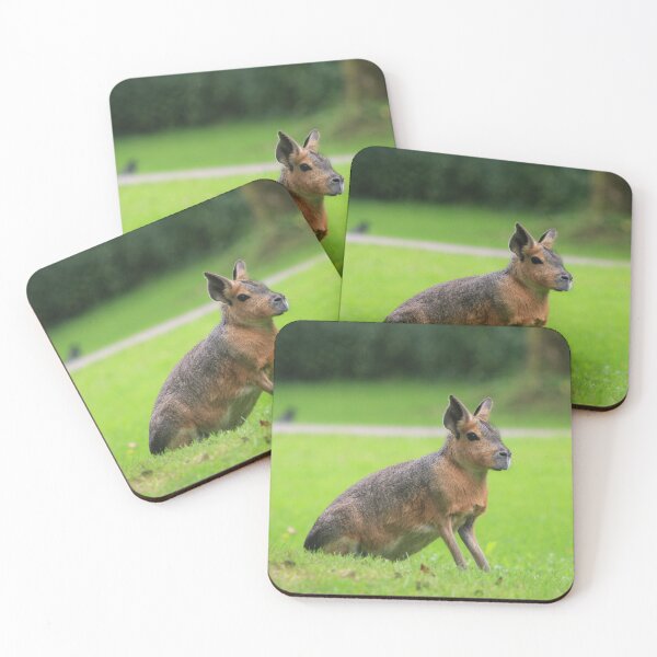 Item preview, Patagonia Mara Hare designed and sold by danielasynner.