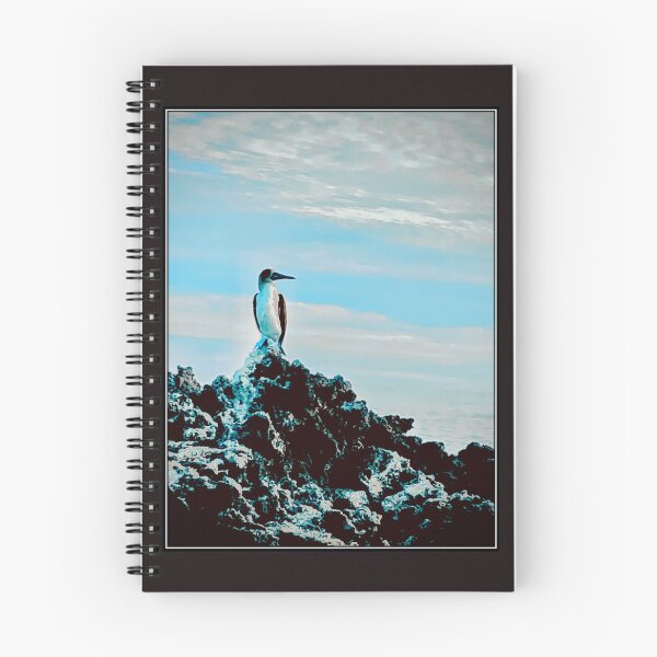 Item preview, Blue-footed Booby - Contemplation designed and sold by KDQuin .