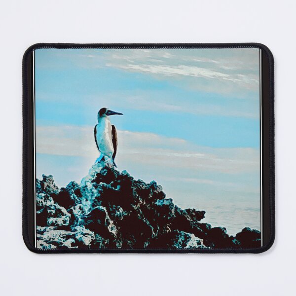 Item preview, Blue-footed Booby - Contemplation designed and sold by KDQuin .