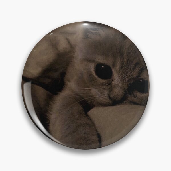 Item preview, Sleepy Kitten with Big Eyes – Cozy Aesthetic Cat Photography | Cute Cat Wall Art designed and sold by Jesus-istheway.