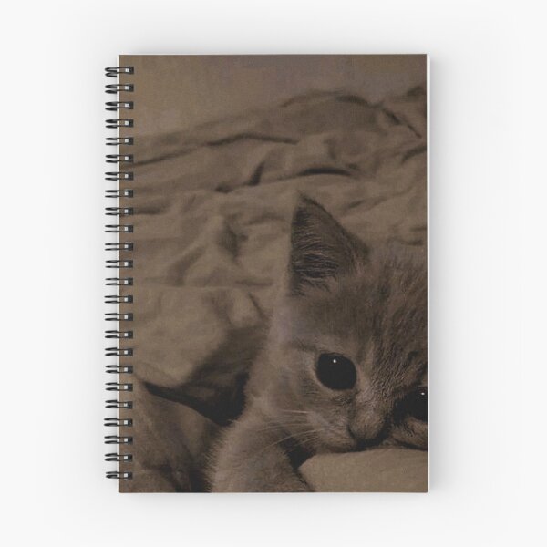 Item preview, Sleepy Kitten with Big Eyes – Cozy Aesthetic Cat Photography | Cute Cat Wall Art designed and sold by Jesus-istheway.