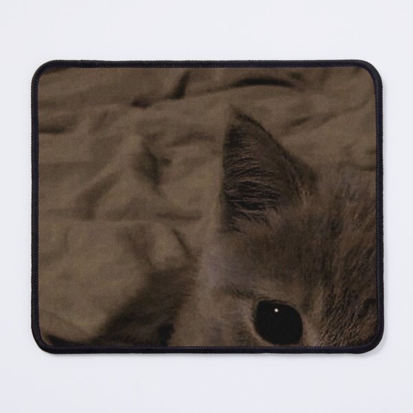 Item preview, Sleepy Kitten with Big Eyes – Cozy Aesthetic Cat Photography | Cute Cat Wall Art designed and sold by Jesus-istheway.