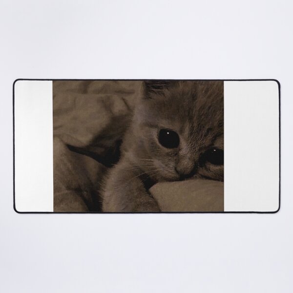 Item preview, Sleepy Kitten with Big Eyes – Cozy Aesthetic Cat Photography | Cute Cat Wall Art designed and sold by Jesus-istheway.