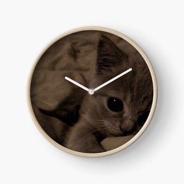 Item preview, Sleepy Kitten with Big Eyes – Cozy Aesthetic Cat Photography | Cute Cat Wall Art designed and sold by Jesus-istheway.