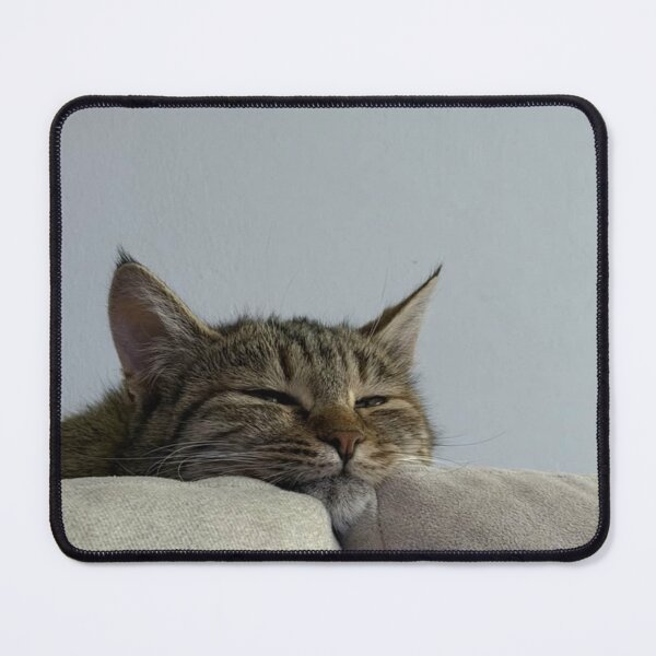 Item preview, Sleepy Tabby Cat Resting on a Couch – Cozy Minimalist Cat Photography | Cute Aesthetic Wall Art designed and sold by Jesus-istheway.