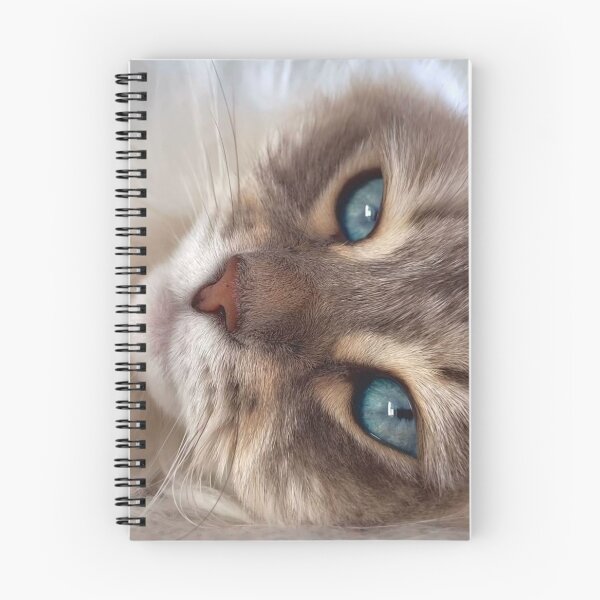 Item preview, Blue-Eyed Tabby Cat Close-Up – Dreamy Feline Portrait | Cute Aesthetic Cat Wall Art designed and sold by Jesus-istheway.