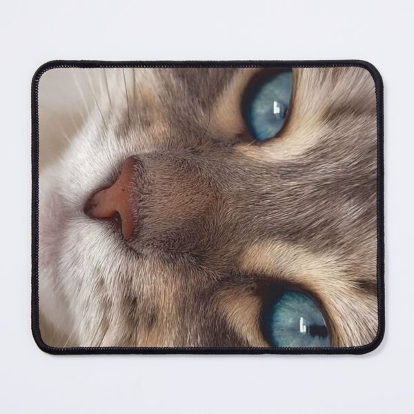 Item preview, Blue-Eyed Tabby Cat Close-Up – Dreamy Feline Portrait | Cute Aesthetic Cat Wall Art designed and sold by Jesus-istheway.