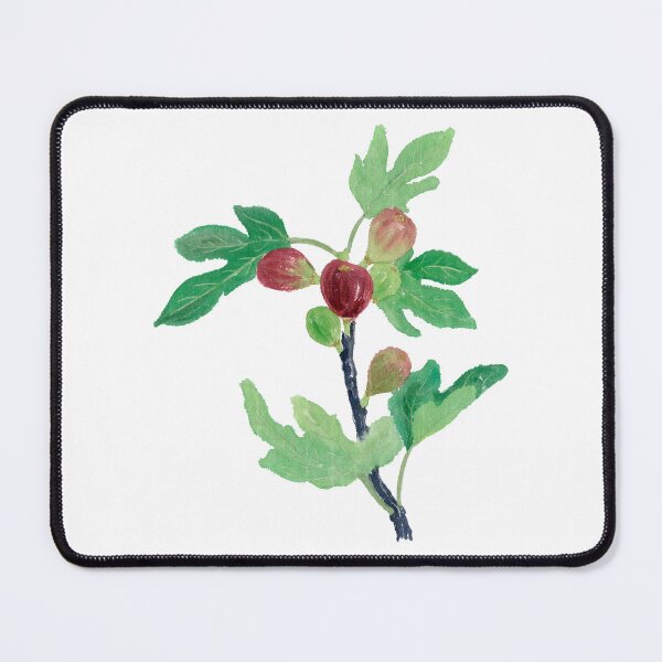 Item preview, April 5th birthday flower Fig Tree designed and sold by birthflower.