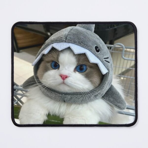 Item preview, Blue-Eyed Cat in Shark Hoodie – Cute Kawaii Kitty in Shopping Cart | Funny Cat Aesthetic Art designed and sold by Jesus-istheway.