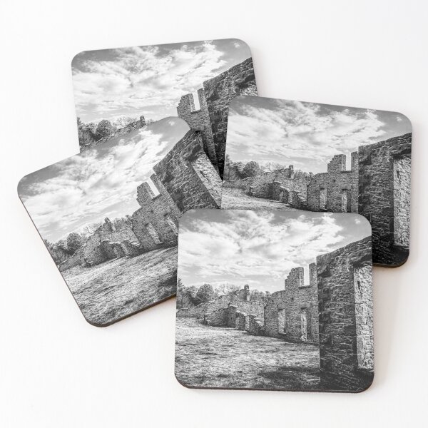 Item preview, Harris Woollen Mill Ruins, Rockwood Conservation Area 1 BW designed and sold by jrtwynam.
