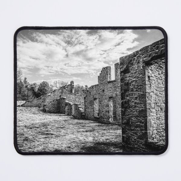 Item preview, Harris Woollen Mill Ruins, Rockwood Conservation Area 1 BW designed and sold by jrtwynam.