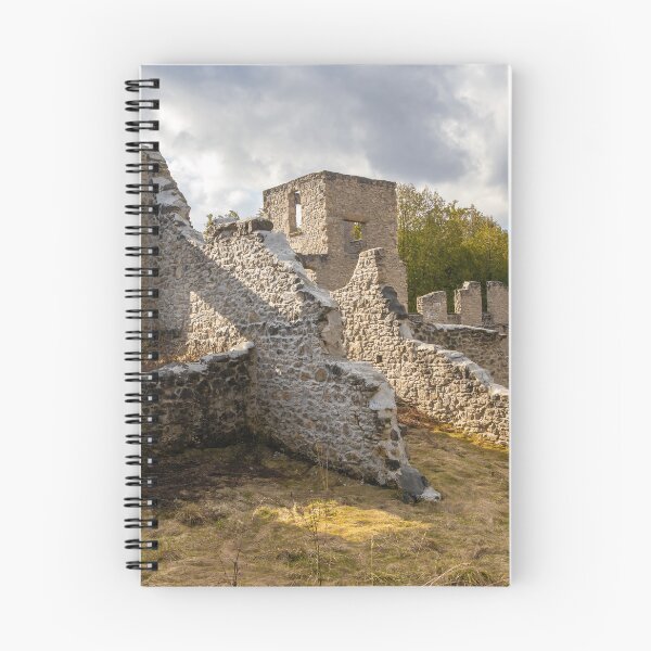 Item preview, Harris Woollen Mill Ruins, Rockwood Conservation Area 2 designed and sold by jrtwynam.