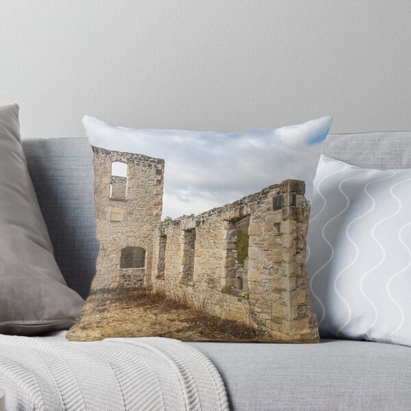 Item preview, Harris Woollen Mill Ruins, Rockwood Conservation Area 3 designed and sold by jrtwynam.