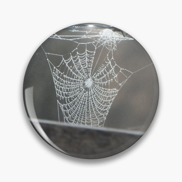 Item preview, Dew on a spiderweb, Berat, Queensland designed and sold by Lynette2025.