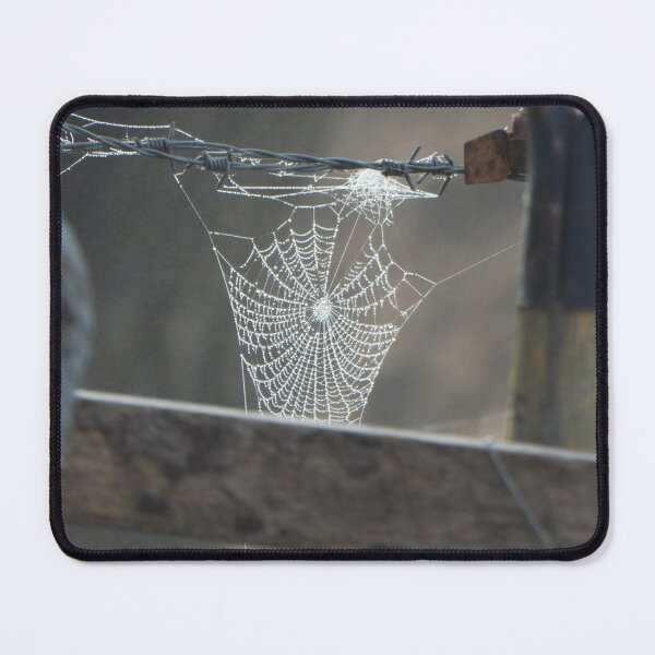 Item preview, Dew on a spiderweb, Berat, Queensland designed and sold by Lynette2025.