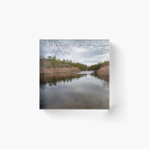 Item preview, Tranquil River Scene at Rockwood Conservation Area, Ontario designed and sold by jrtwynam.
