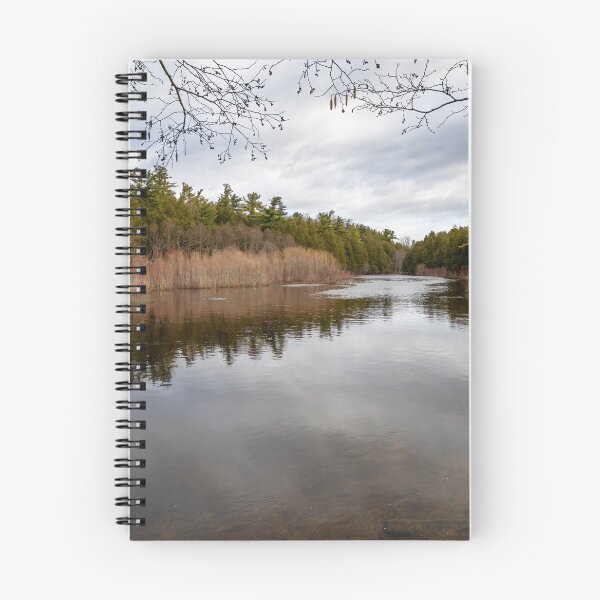 Item preview, Tranquil River Scene at Rockwood Conservation Area, Ontario designed and sold by jrtwynam.