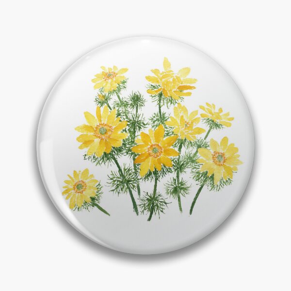 Item preview, April 6th birthday flower Adonis amurensis designed and sold by birthflower.