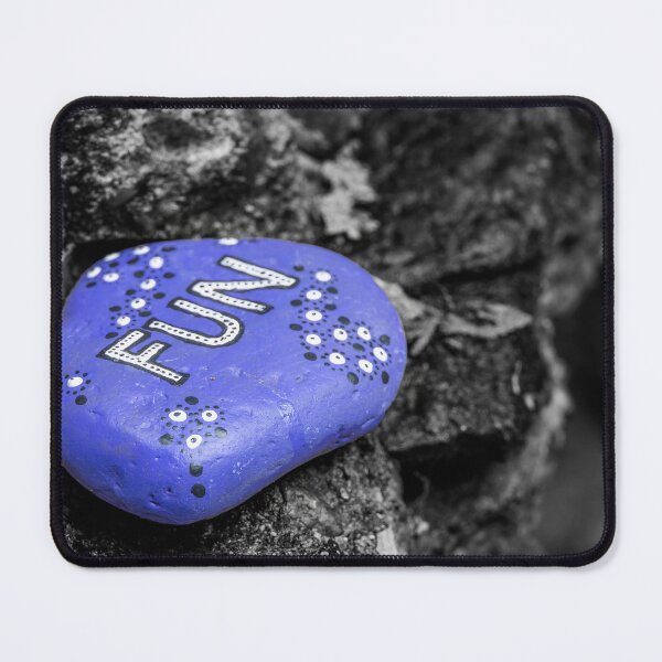 Item preview, Painted Blue Rock with 'Fun' at Rockwood Conservation Area designed and sold by jrtwynam.
