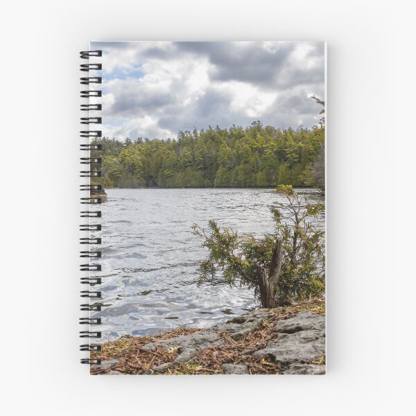 Item preview, Scenic View of Rockwood Conservation Area in Ontario designed and sold by jrtwynam.