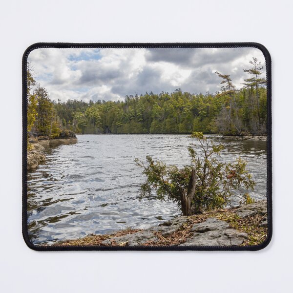 Item preview, Scenic View of Rockwood Conservation Area in Ontario designed and sold by jrtwynam.