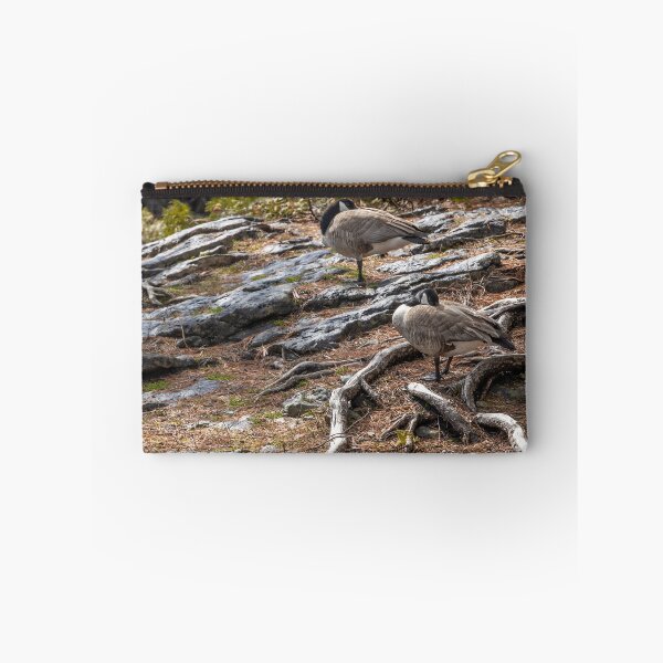 Item preview, Canada Geese Resting Among Rocks and Roots in Ontario Park designed and sold by jrtwynam.