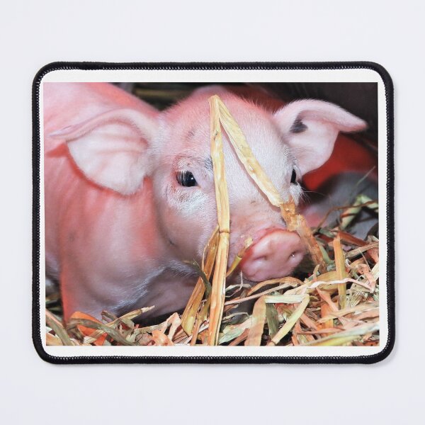 Item preview, You can't see me! Hendon, Queensland designed and sold by Lynette2025.