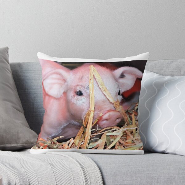 Item preview, You can't see me! Hendon, Queensland designed and sold by Lynette2025.