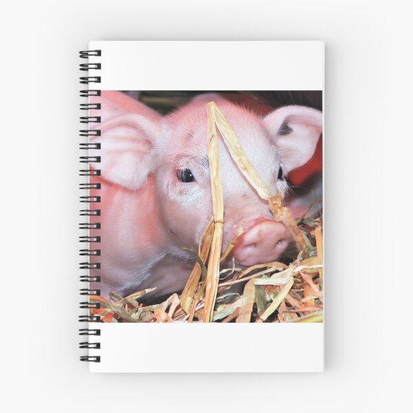 Item preview, You can't see me! Hendon, Queensland designed and sold by Lynette2025.