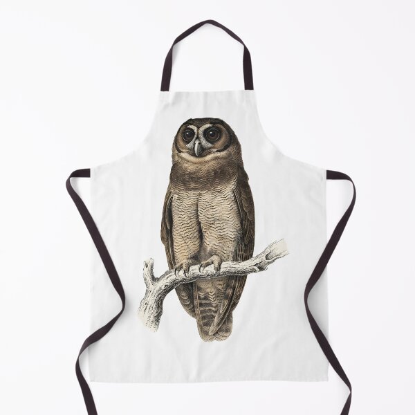 Item preview, illustrations of brown wood owl in a vintage natural history book designed and sold by wonderisland.
