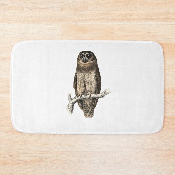 Item preview, illustrations of brown wood owl in a vintage natural history book designed and sold by wonderisland.