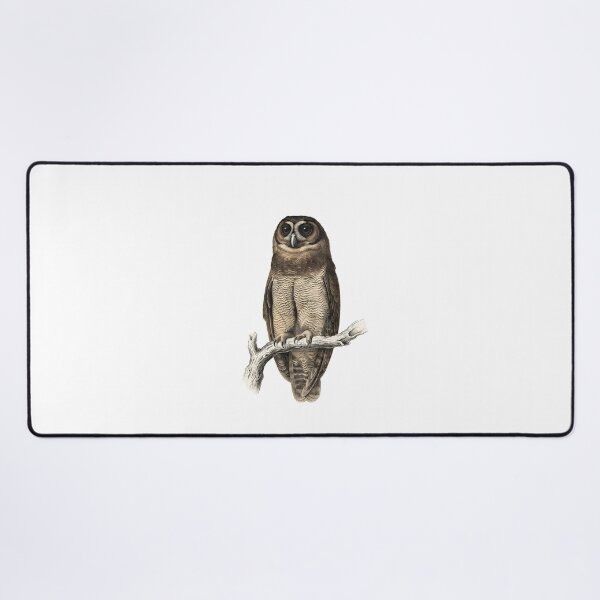 Item preview, illustrations of brown wood owl in a vintage natural history book designed and sold by wonderisland.