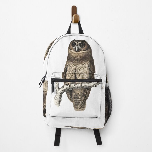 Item preview, illustrations of brown wood owl in a vintage natural history book designed and sold by wonderisland.
