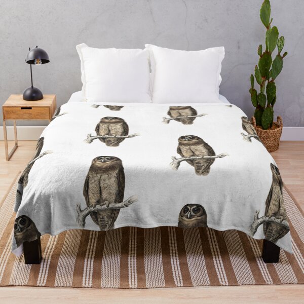 Item preview, illustrations of brown wood owl in a vintage natural history book designed and sold by wonderisland.