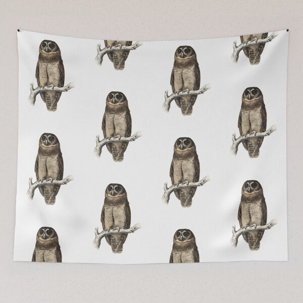 Item preview, illustrations of brown wood owl in a vintage natural history book designed and sold by wonderisland.